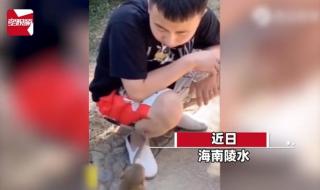 男子被小男孩拔腿毛 男子被小男孩拔腿毛